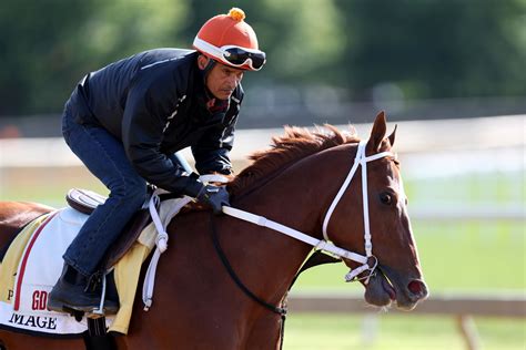 preakness stakes 2023 entries|Preakness 2023: Entries, Contenders, Odds and Lineup Analysis .